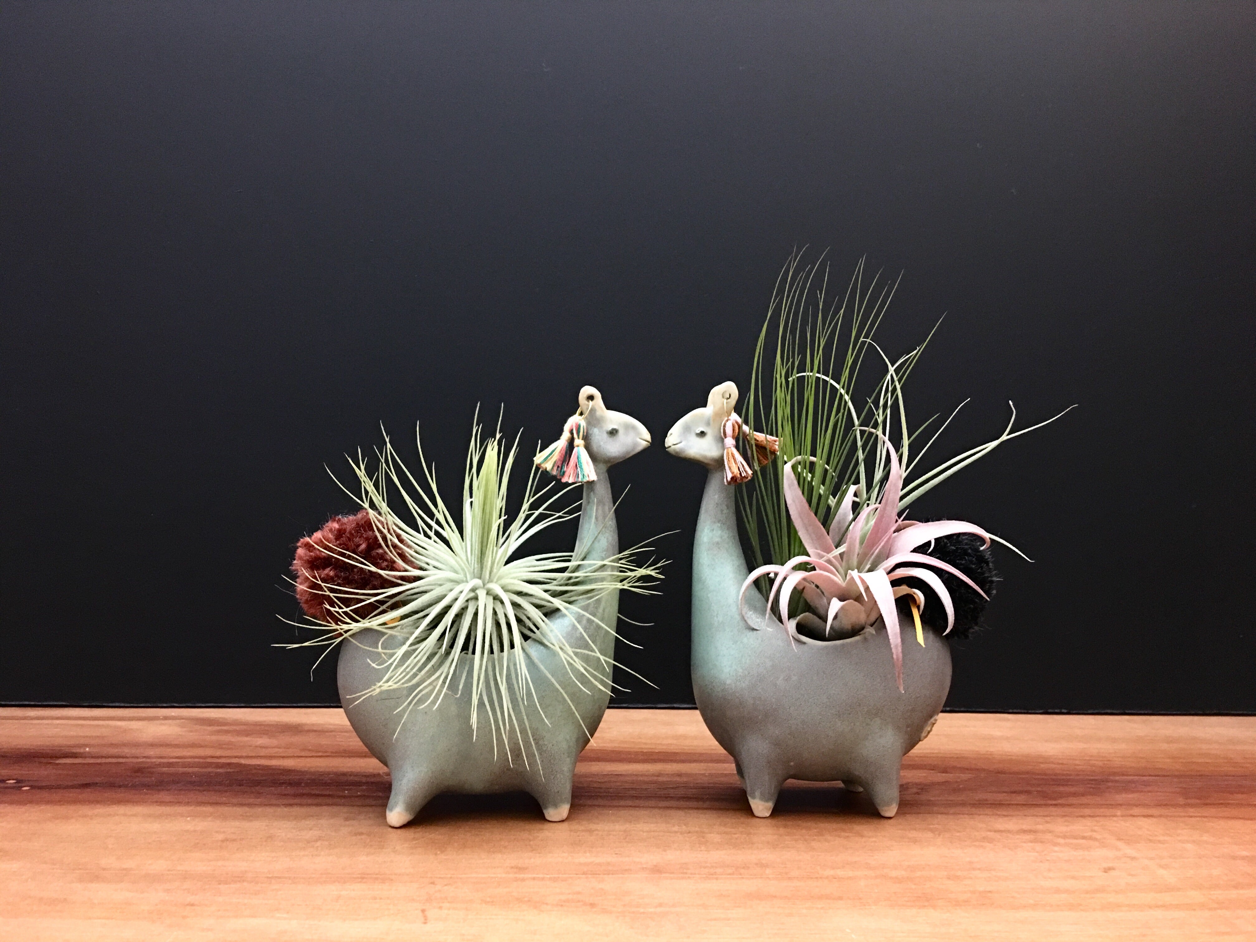 llama succulent pot llama vase / antique jade – Studio Giverny