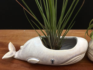 whale air plant vase / cream and sugar